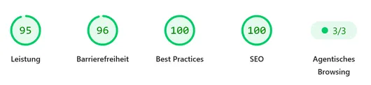 Lighthouse Score: 95 Performance, 96 Accessibility, 100 Best Practices, 100 SEO